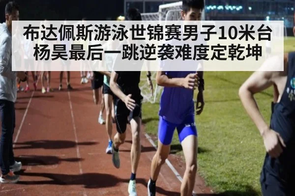 布达佩斯游泳世锦赛男子10米台杨昊最后一跳逆袭难度定乾坤