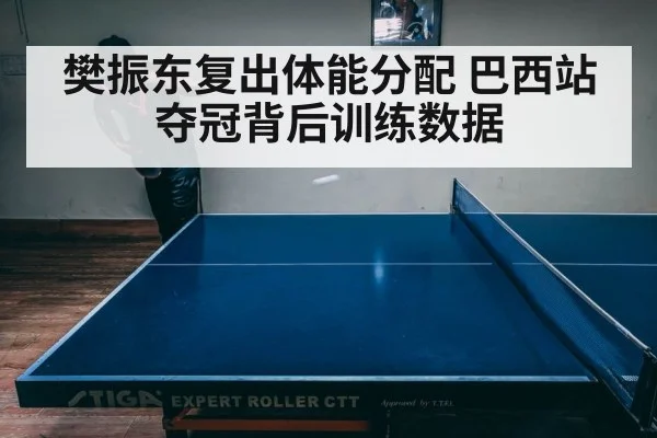 樊振东复出体能分配 巴西站夺冠背后训练数据
